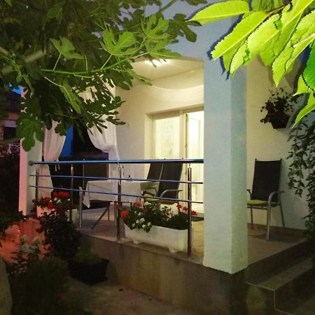 Radenka Zafron Apartment 沃迪切 外观 照片