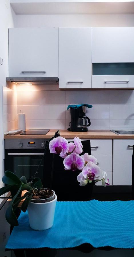 Radenka Zafron Apartment 沃迪切 外观 照片